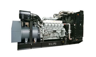 具有口碑的集裝箱柴油發(fā)電機品牌介紹